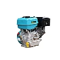 Gasoline engine GTM192F 