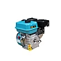 Gasoline engine GTM170F