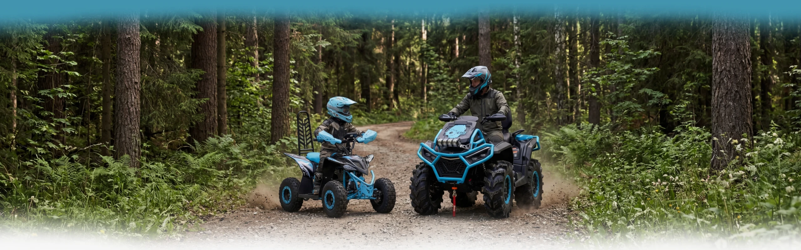 GTM Tools USA | Lawn & Garden, Woodworking Machinery, Mini Loaders, Generators & More